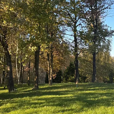 Siedlisko
